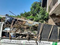 Best Property Management Cleanouts  in Mcnary, AZ